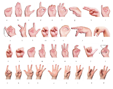 Interaction with Software and Hardware