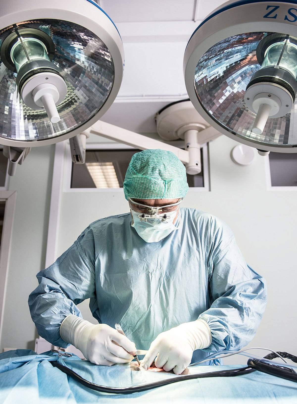 Eläinsairaala Aisti | Klinikat | Vireä Group