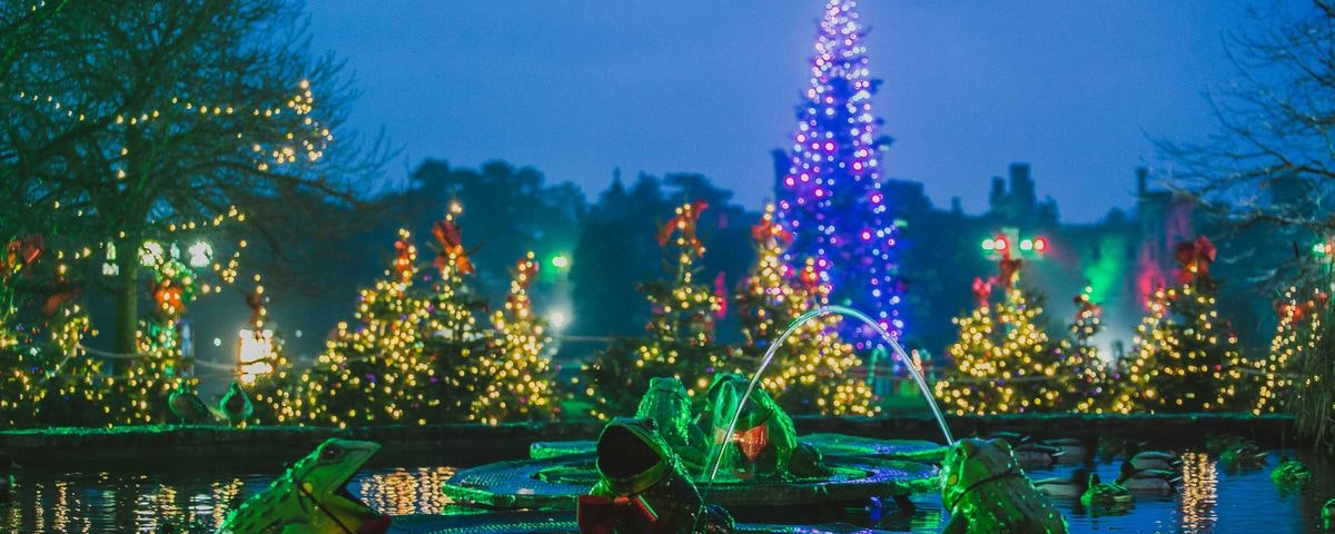 100 of the Funniest Christmas Quotes Worth Sharing