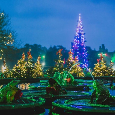 100 of the Funniest Christmas Quotes Worth Sharing