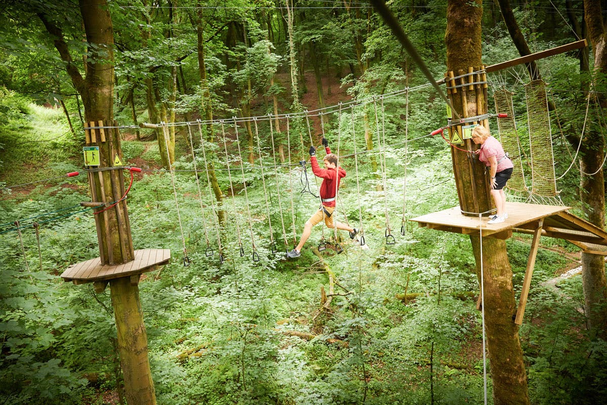 Preparing Yourself For A Go Ape Experience