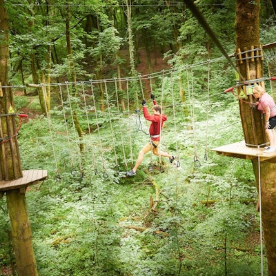 Preparing Yourself For A Go Ape Experience