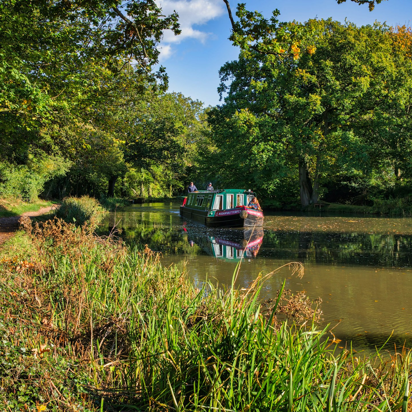 38 Things to Do in Basingstoke 123