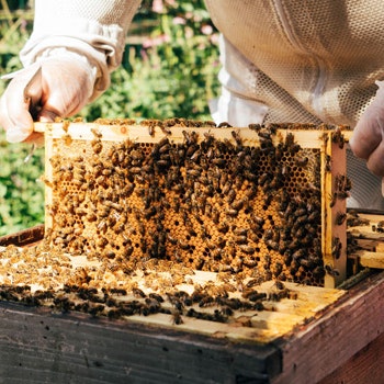 The Best Sustainable Experiences in the UK