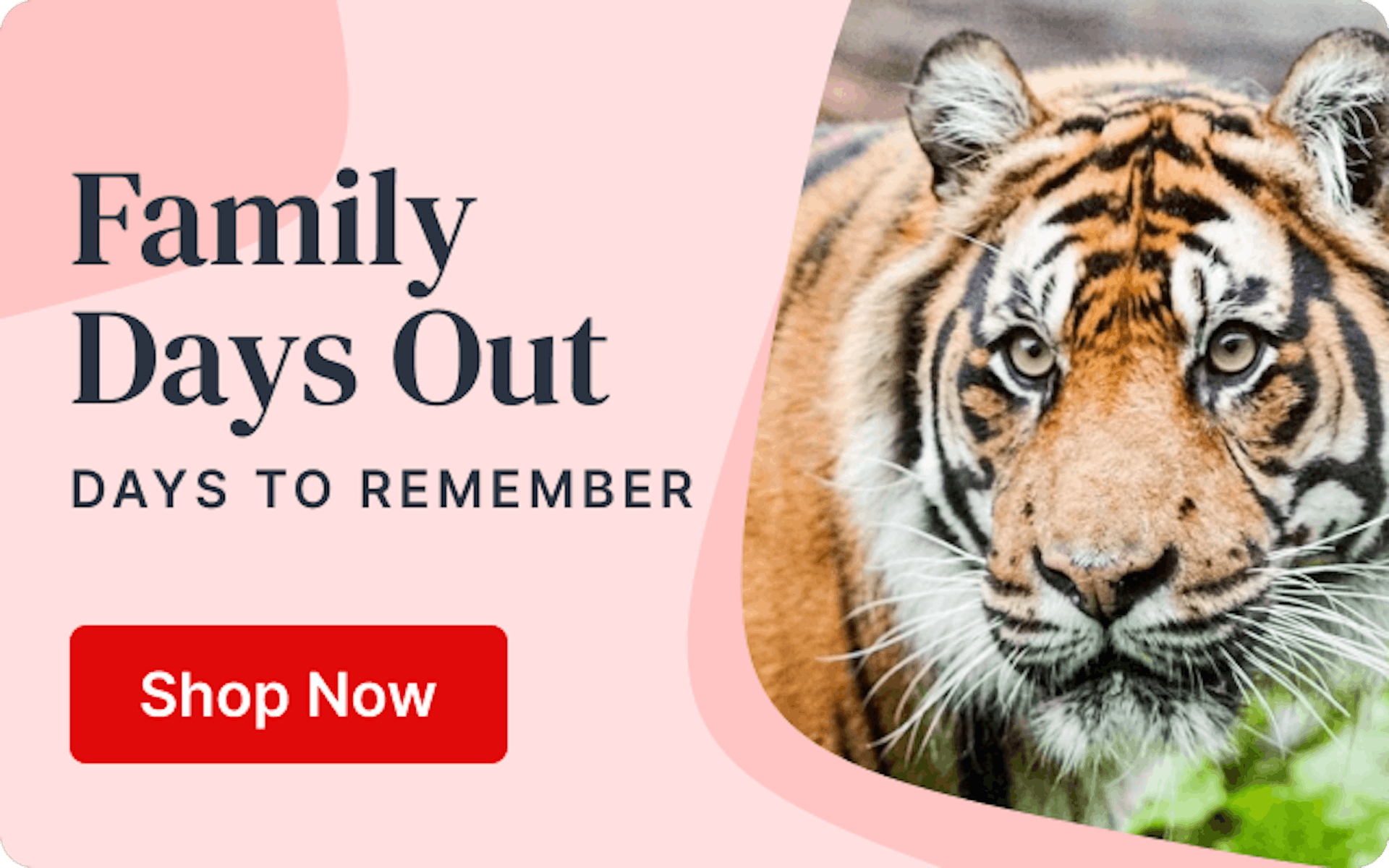 Family Days Out - Days To Remember - Shop Now