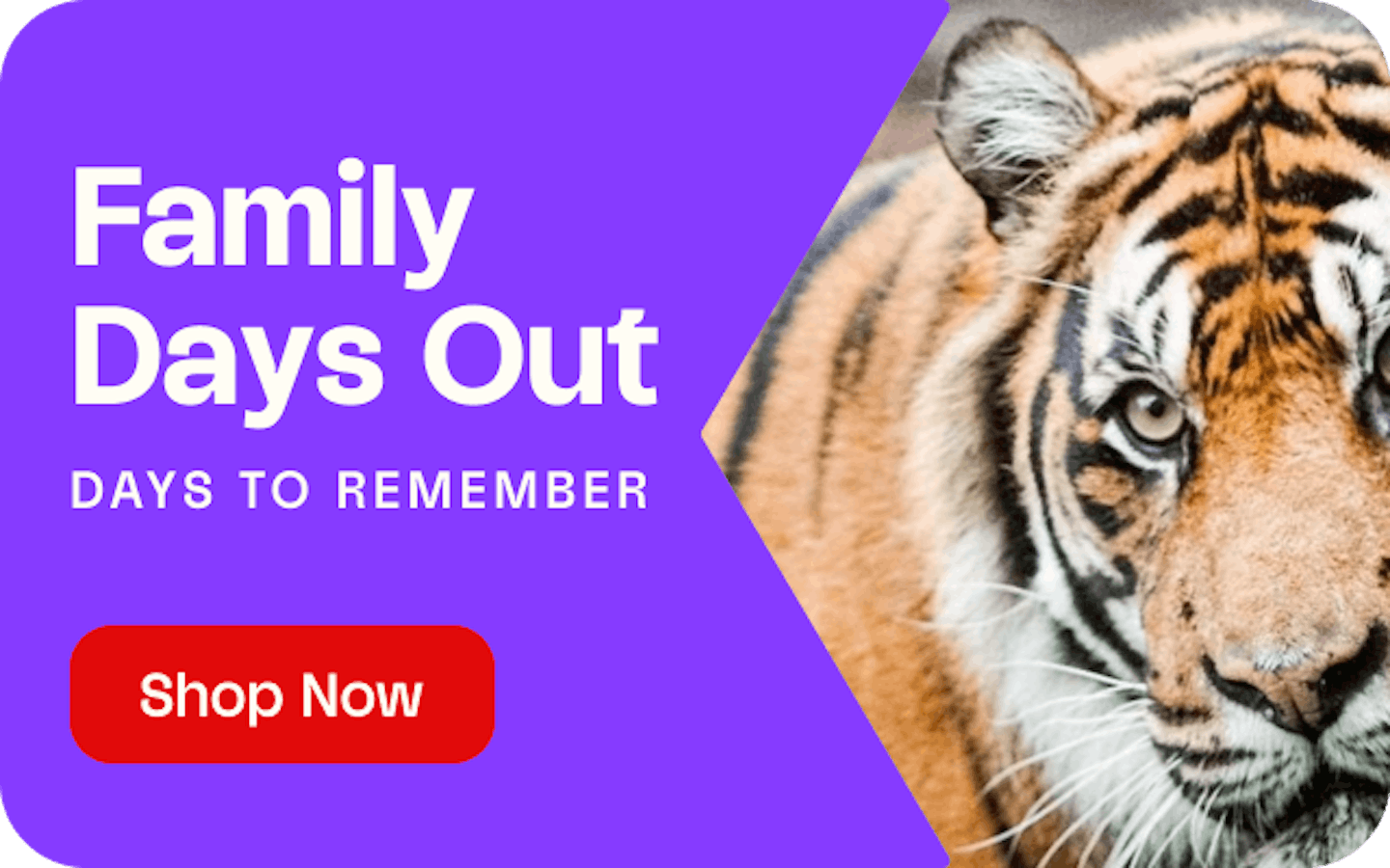 Family Days Out - Days To Remember - Shop Now