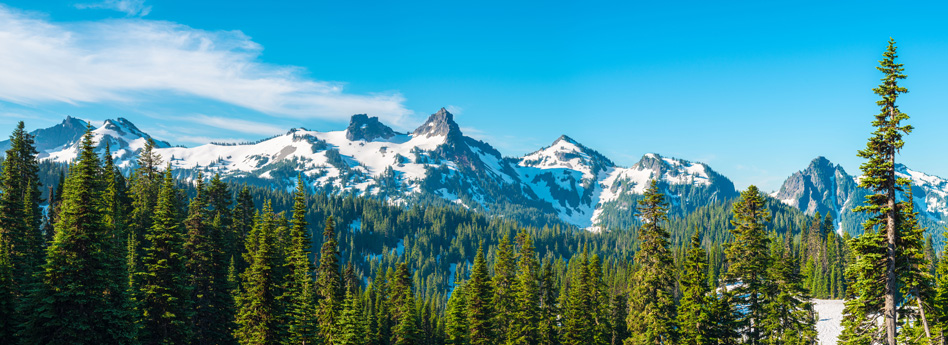 Washington Experience Gifts & Things To Do - Virgin Gifts