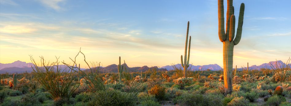 Phoenix Experience Gifts & Things To Do - Virgin Gifts