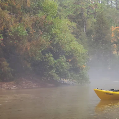 Kayak & Paddling