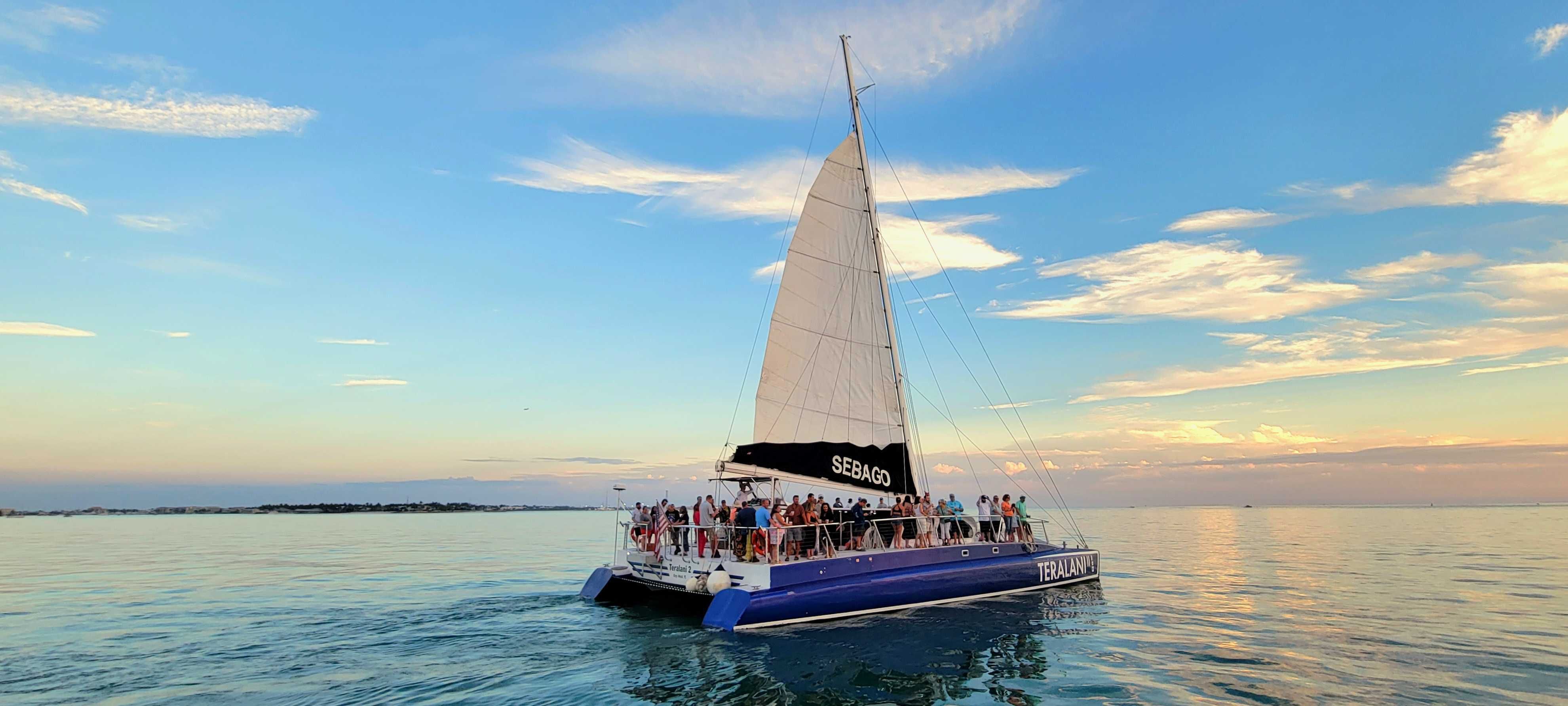 Cruises & Sailings