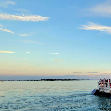 Cruises & Sailings
