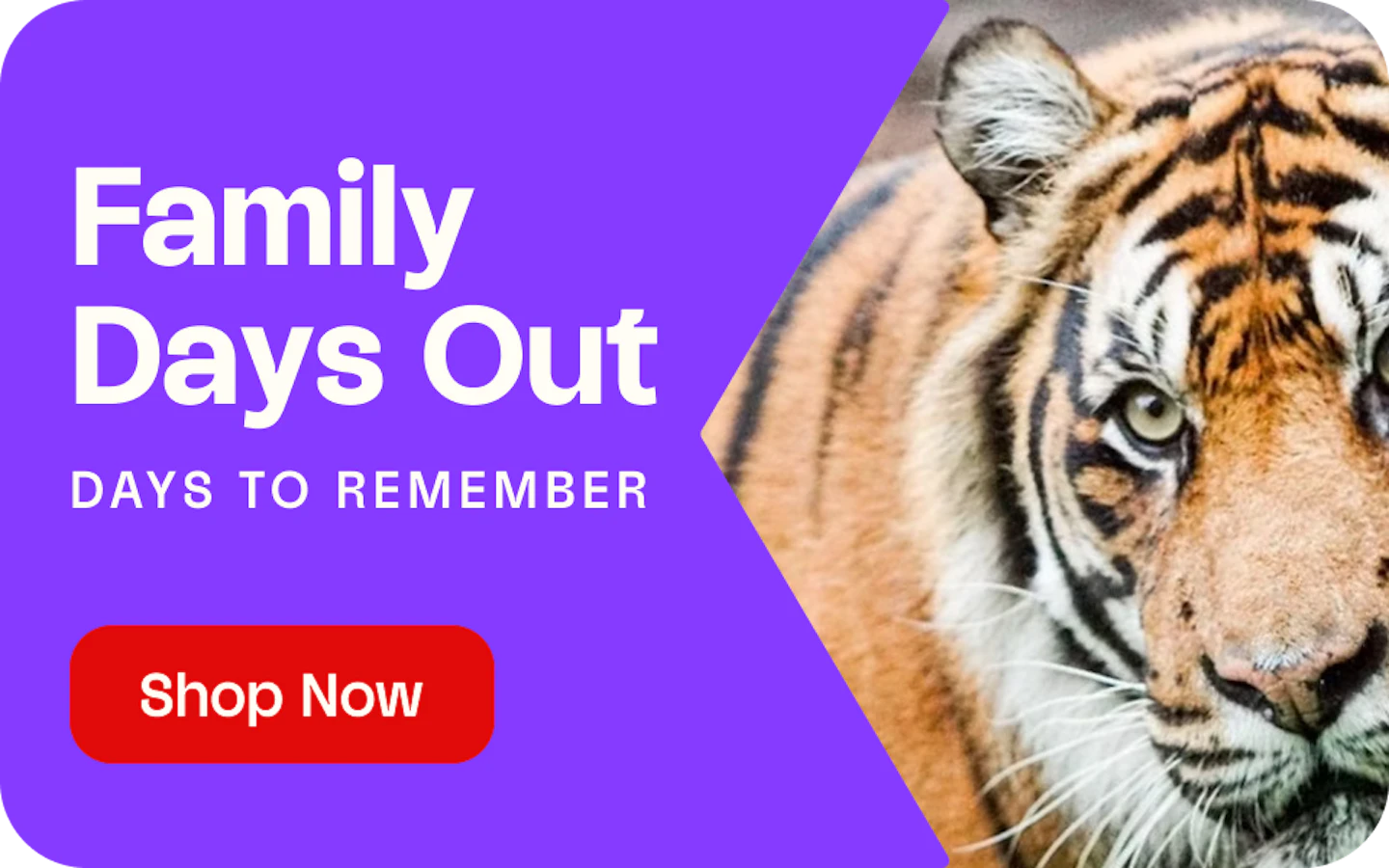 Family Days Out Banner