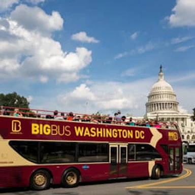 Tours & Sightseeing