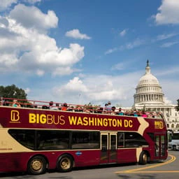 Tours & Sightseeing