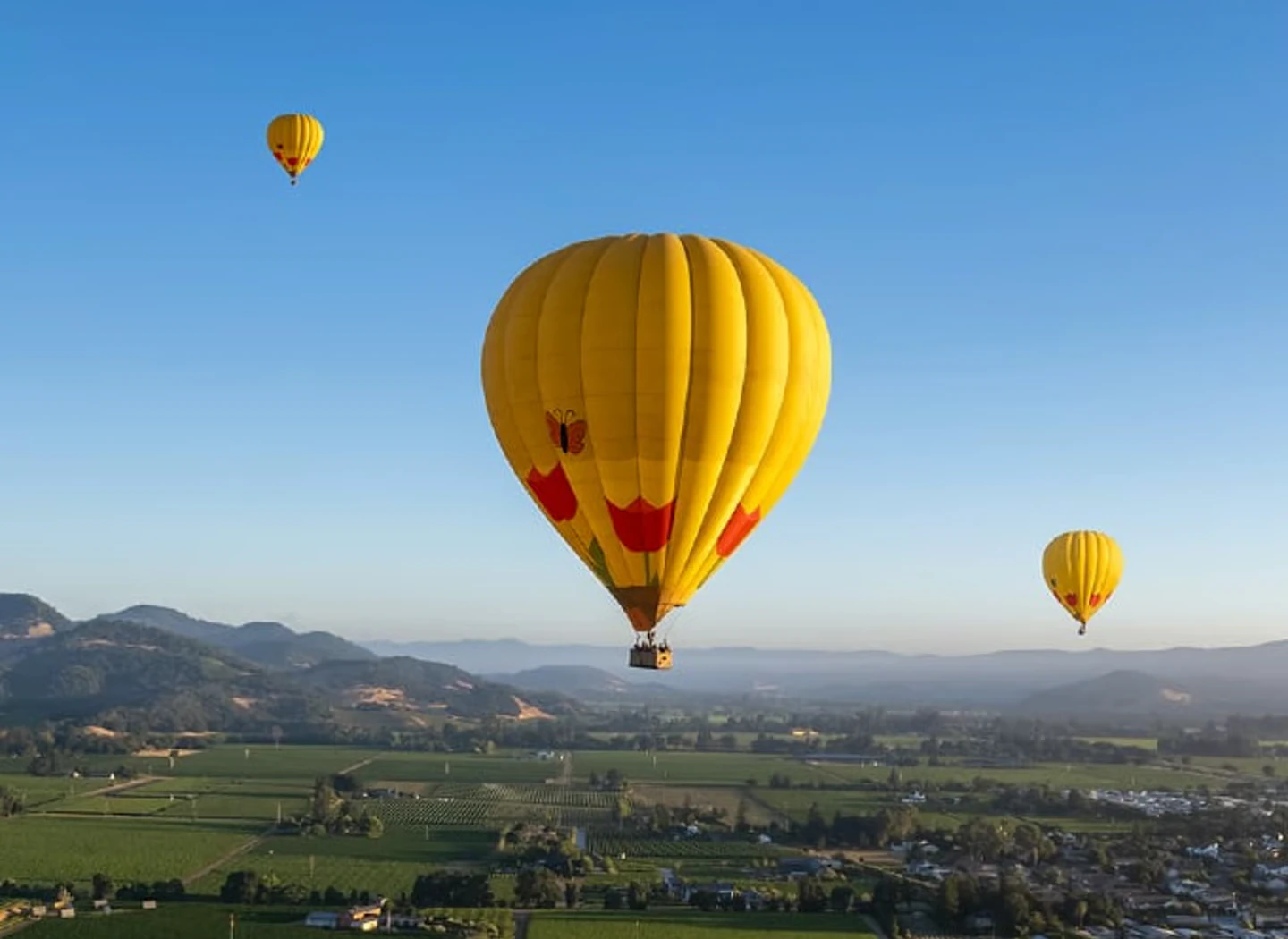 Napa Valley Hot Air Balloon Rides