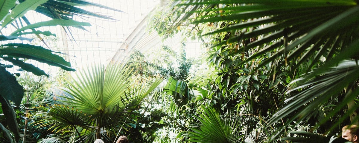 Introducing Our Sustainable Experiences Collection