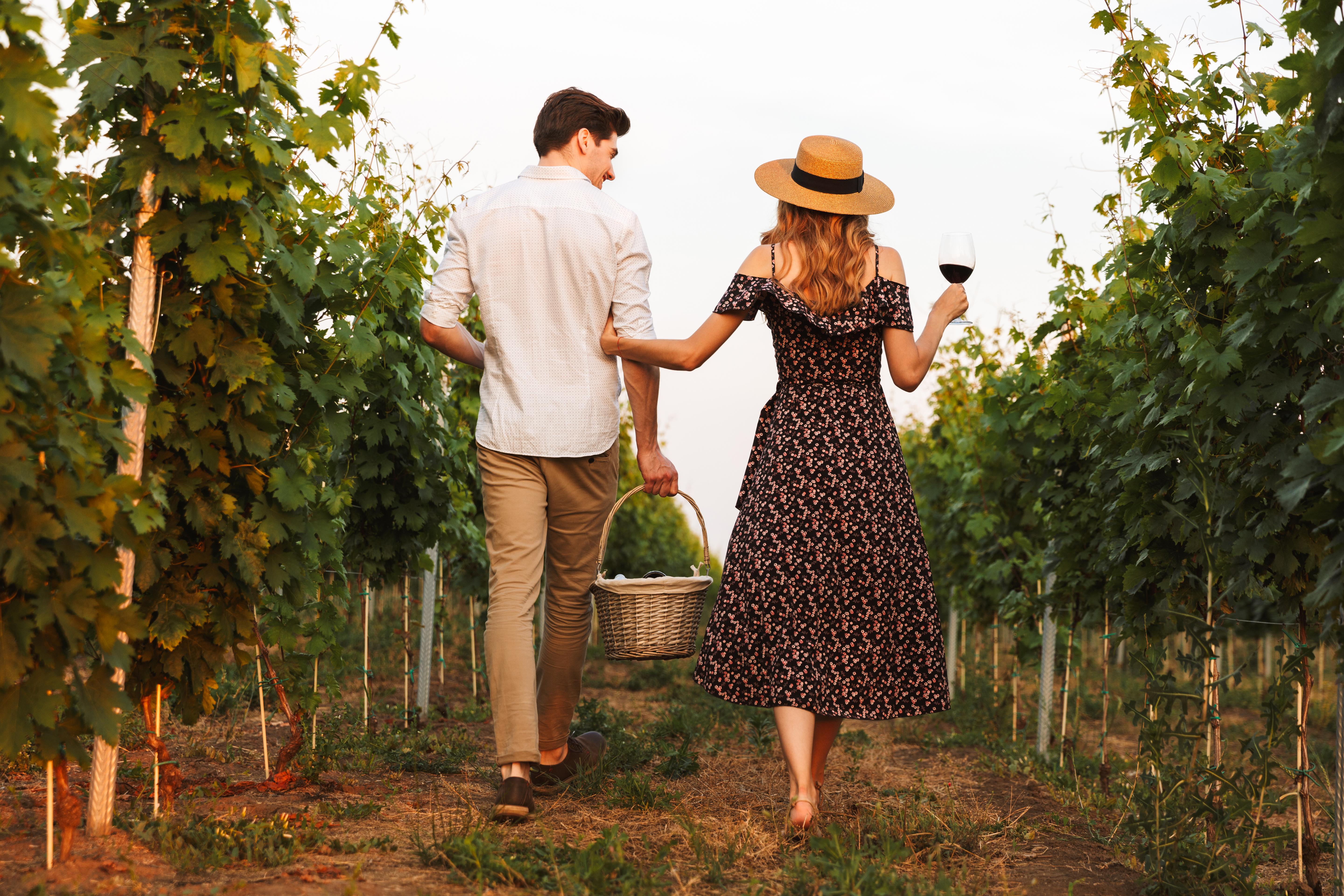sonoma county