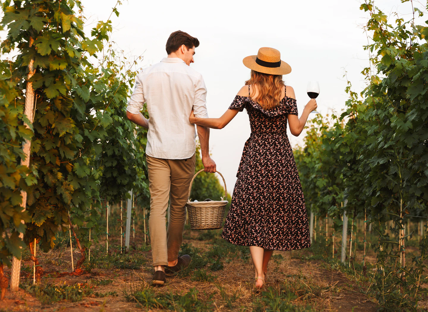 sonoma county