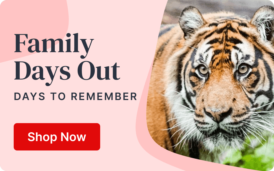 Family Days Out - Days to Remember - Shop Now