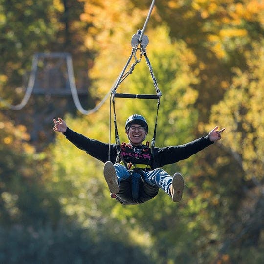 Ziplining Through Trees