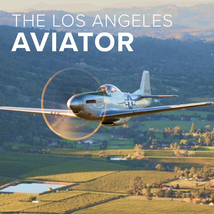 Los Angeles Aviator Collection