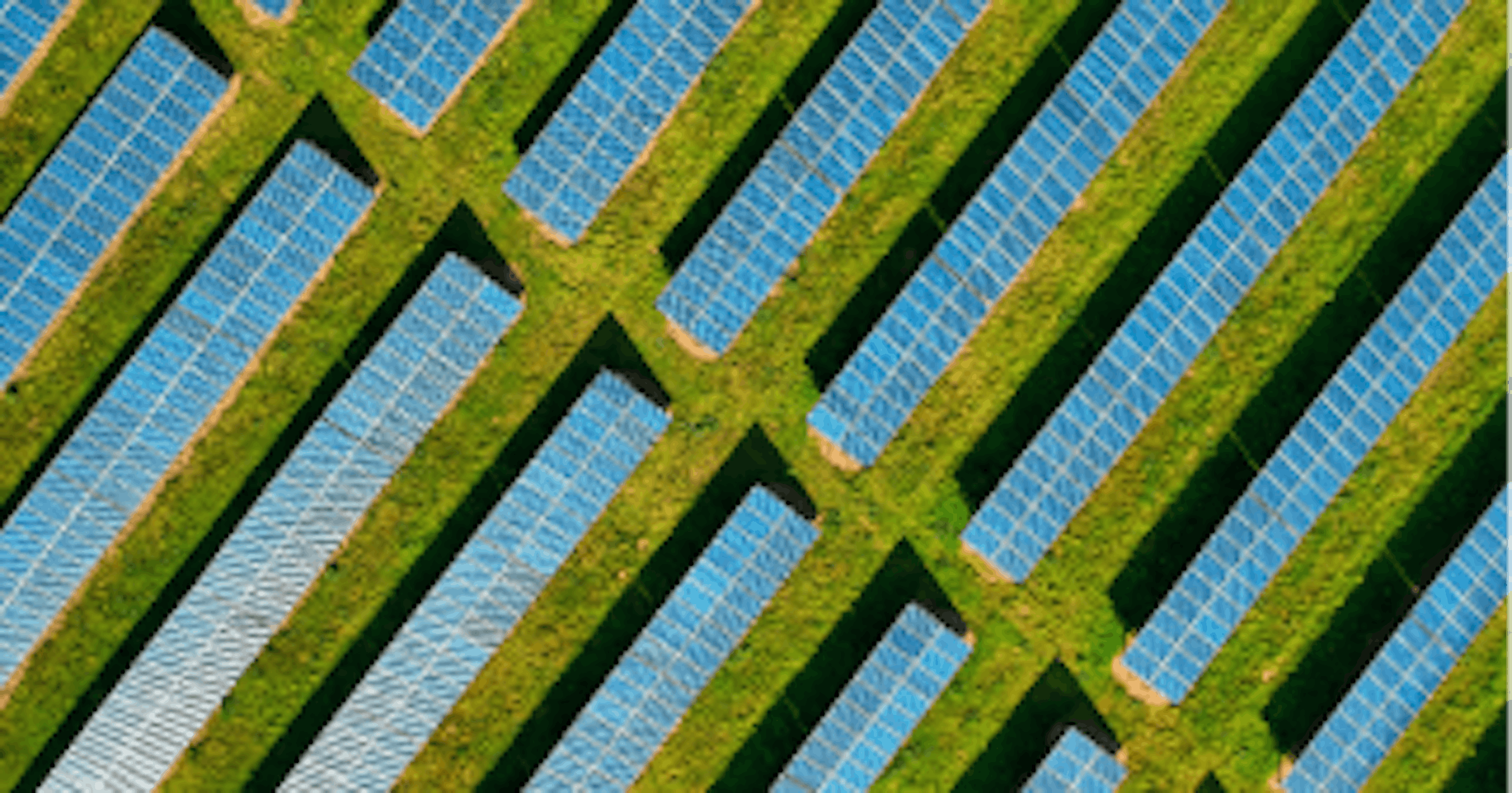 Unisci le forze con altre aziende e privati per creare comunità energetiche rinnovabili che condividono energia solare e riducono i costi operativi collettivi.
