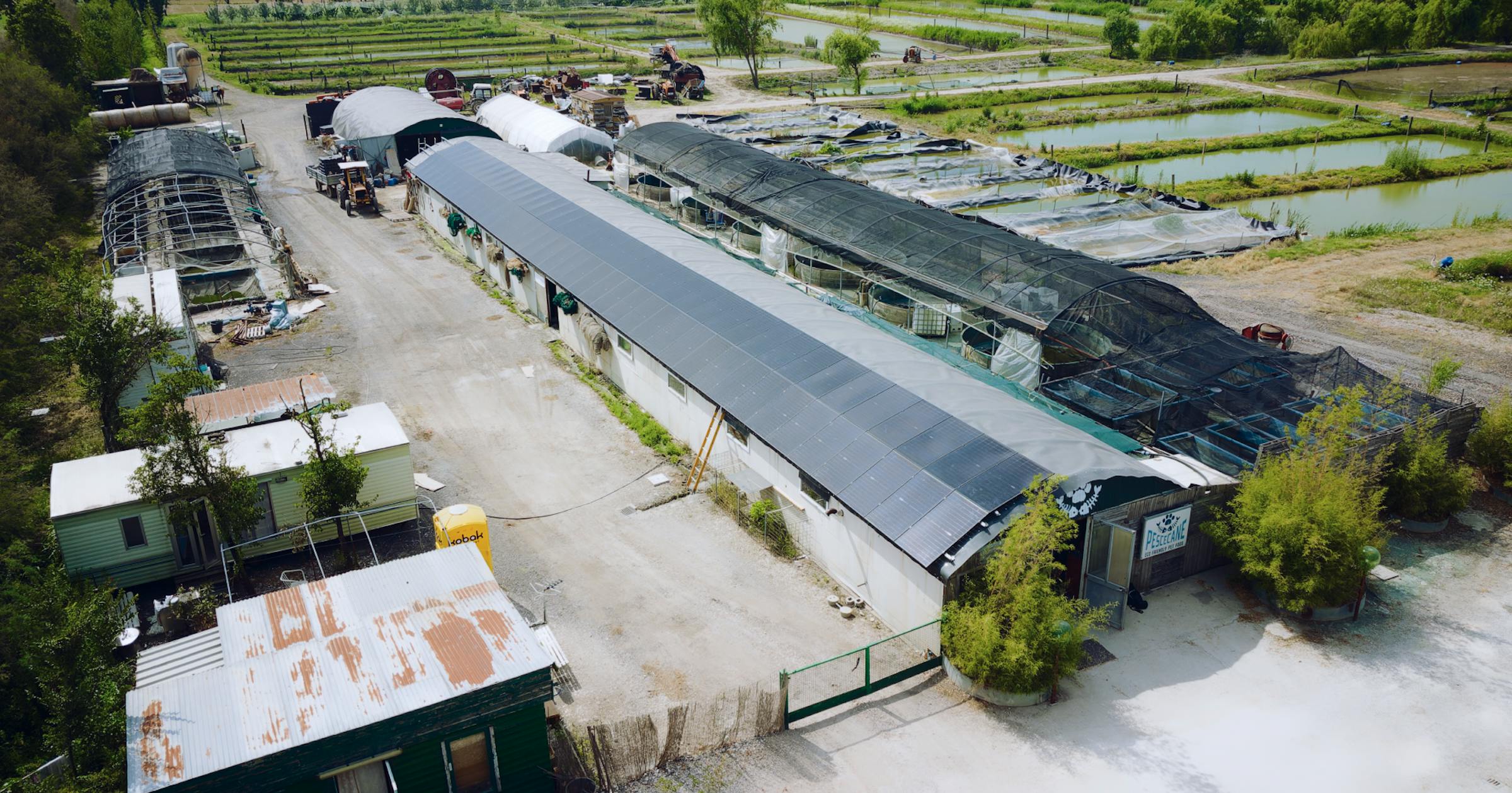 Nel cuore dell’Azienda Agricola Riccò, Virides ha dato vita a un progetto ambizioso e sostenibile, rendendo l’energia pulita e l’autosufficienza energetica una realtà per questa impresa.