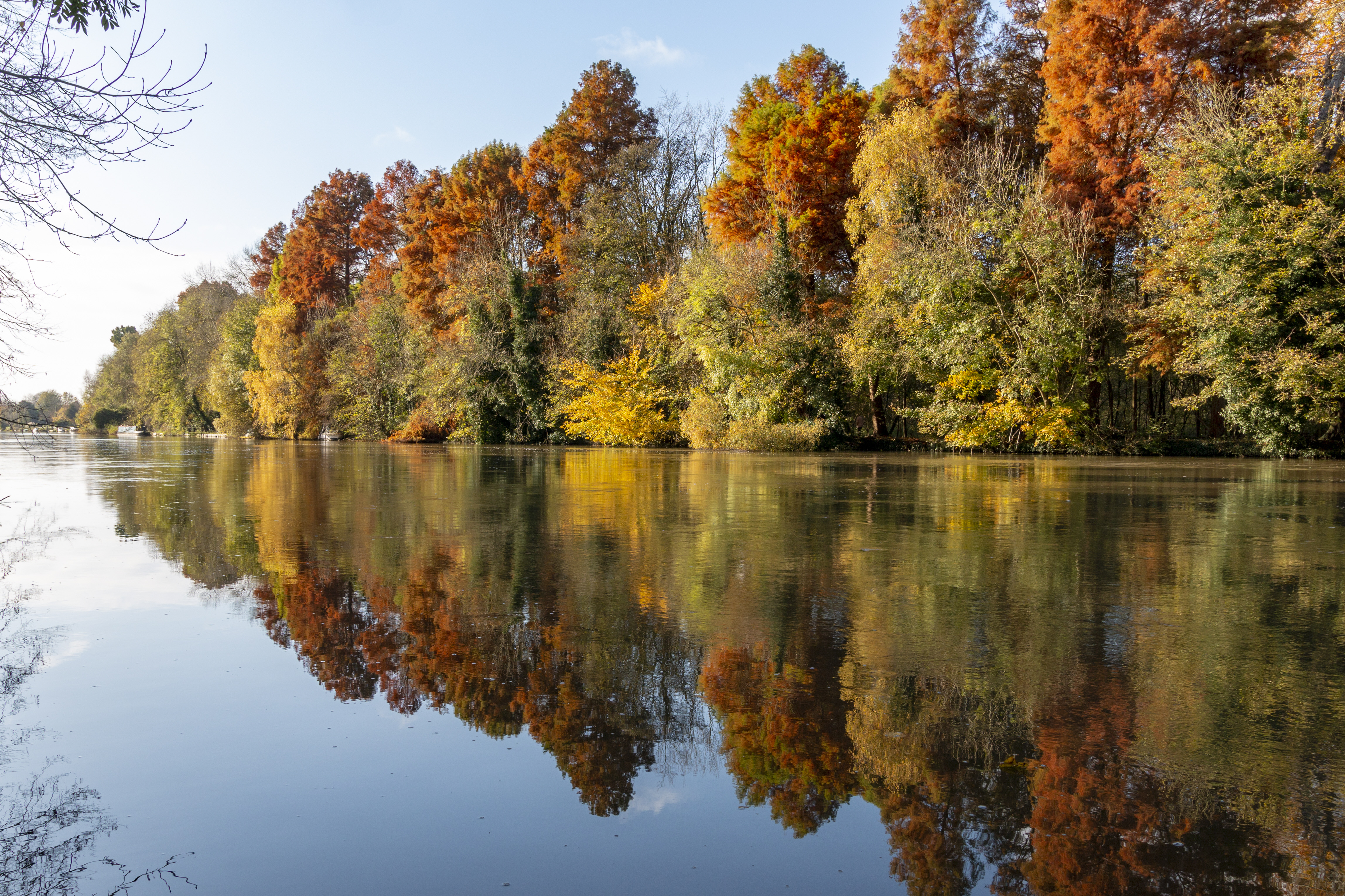 Image of trees across a lake