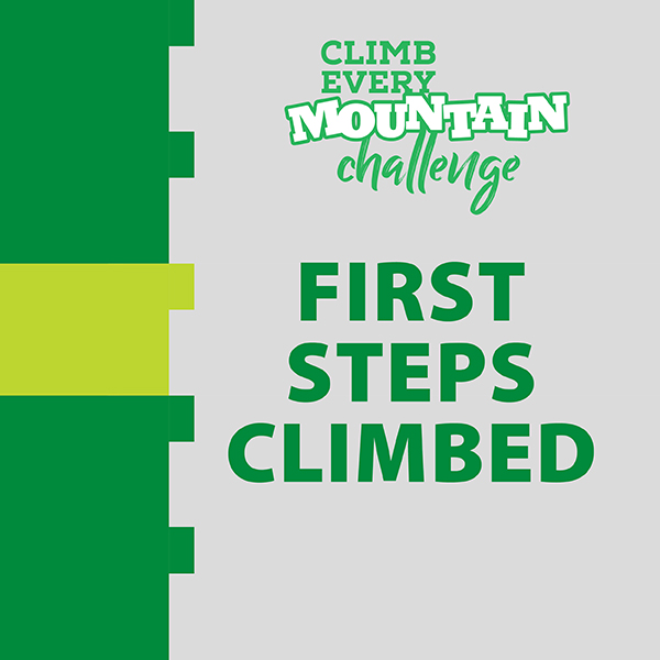Barretstown - first steps climbed