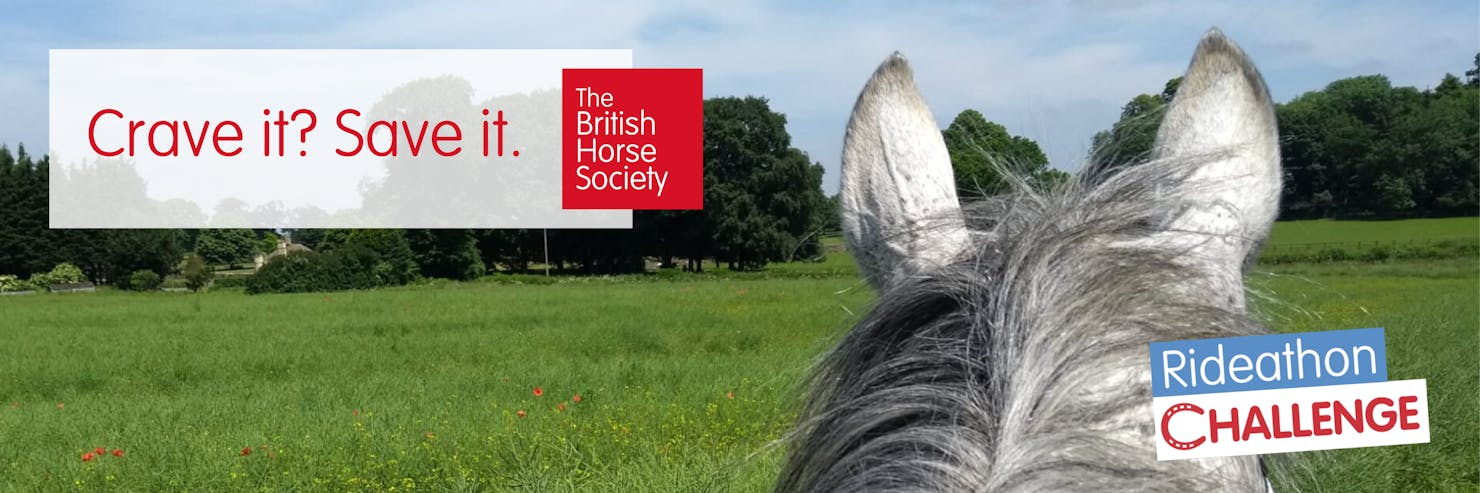 horse image with challenge logo and title