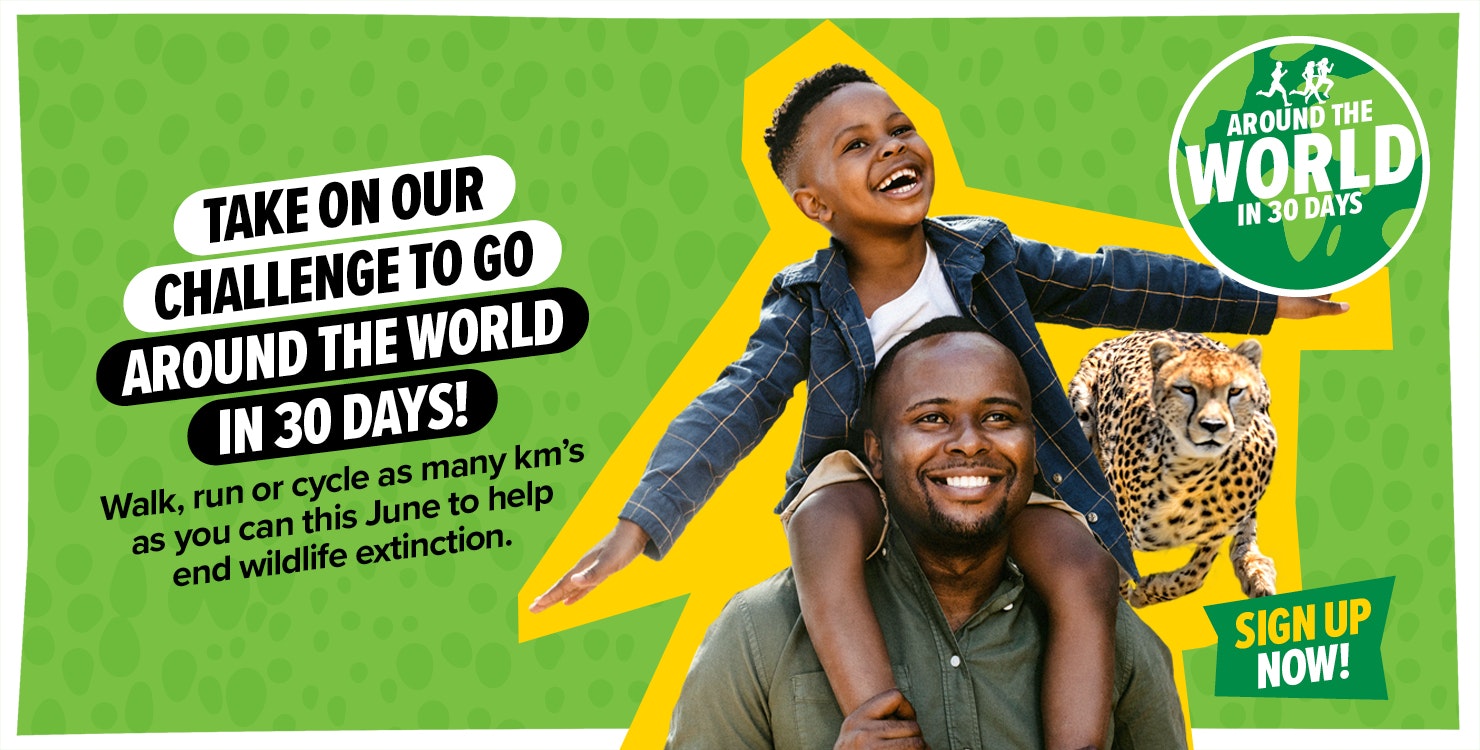 Take on our challenge to go around the world in 30 days. Sign up now!