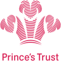 Princes Trust Logo