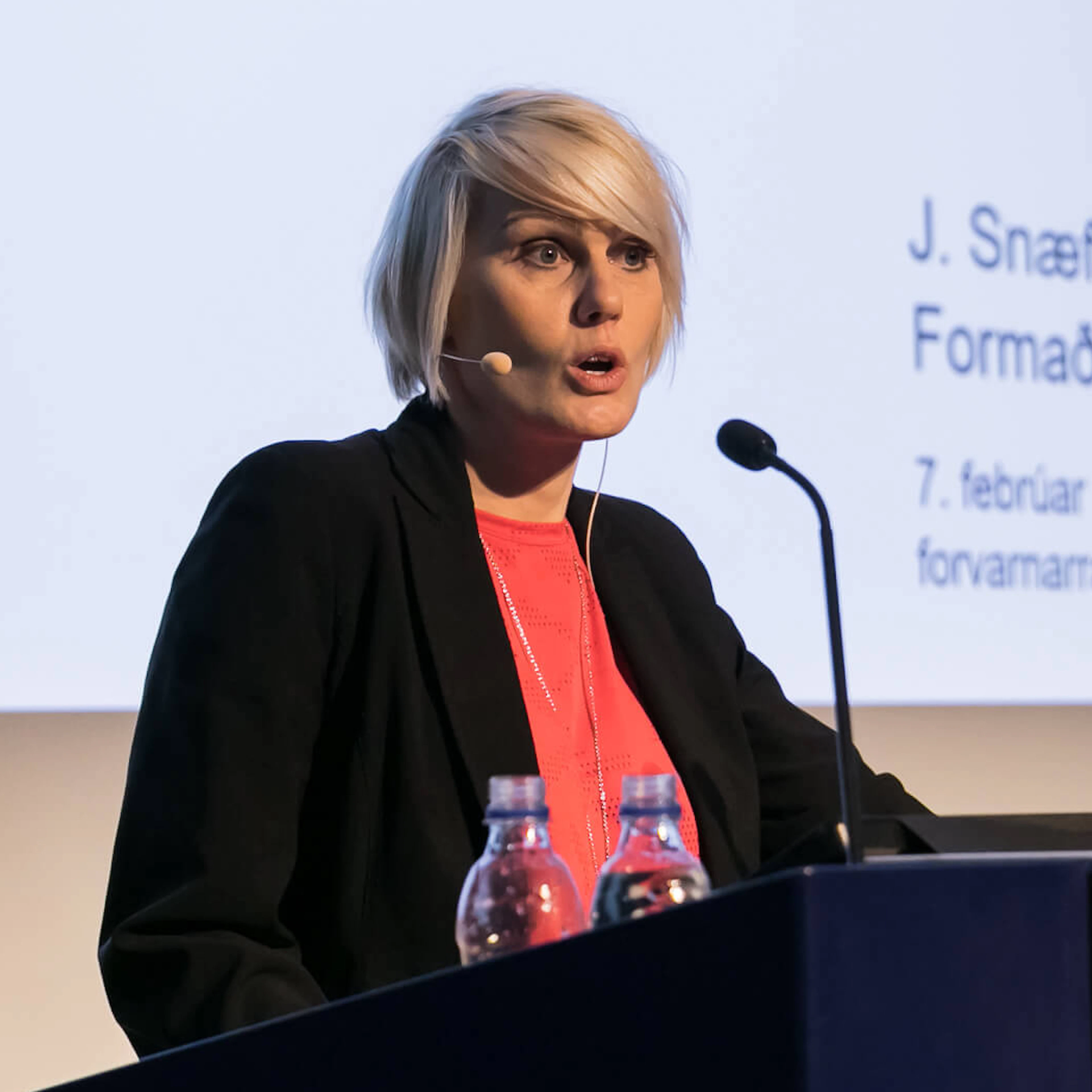 J. Snæfríður Einarsdóttir
