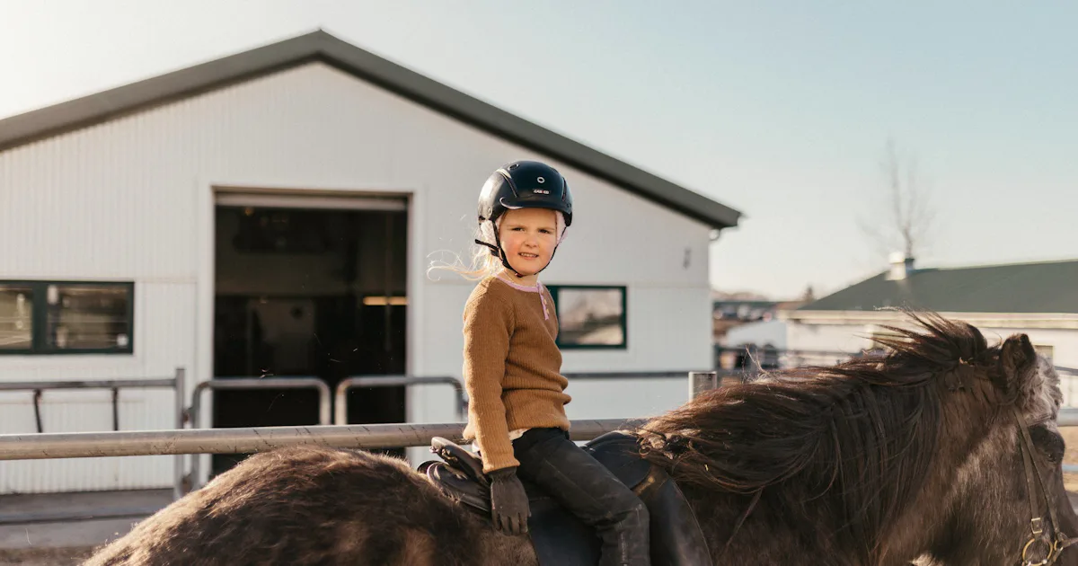 Horse insurance · VÍS