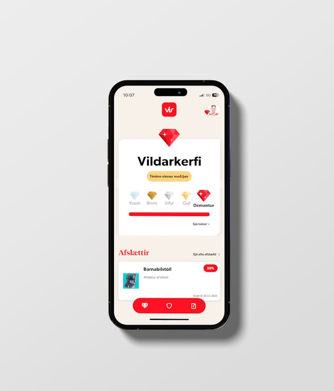 Hvernig virkar Vildarkerfi VÍS?