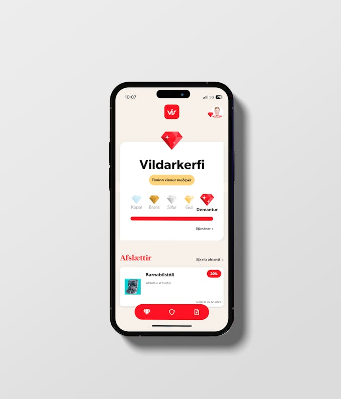 Hvað get ég gert í VÍS appinu?