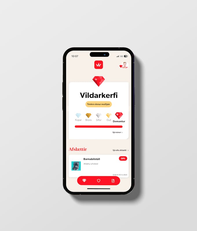 How does the VÍS app work?