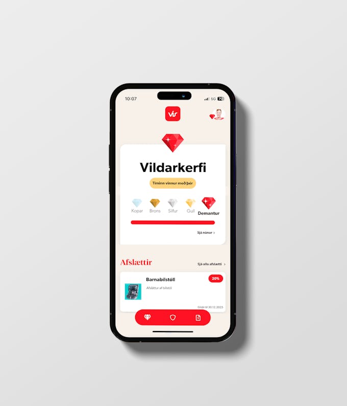 Vildarkerfi VÍS