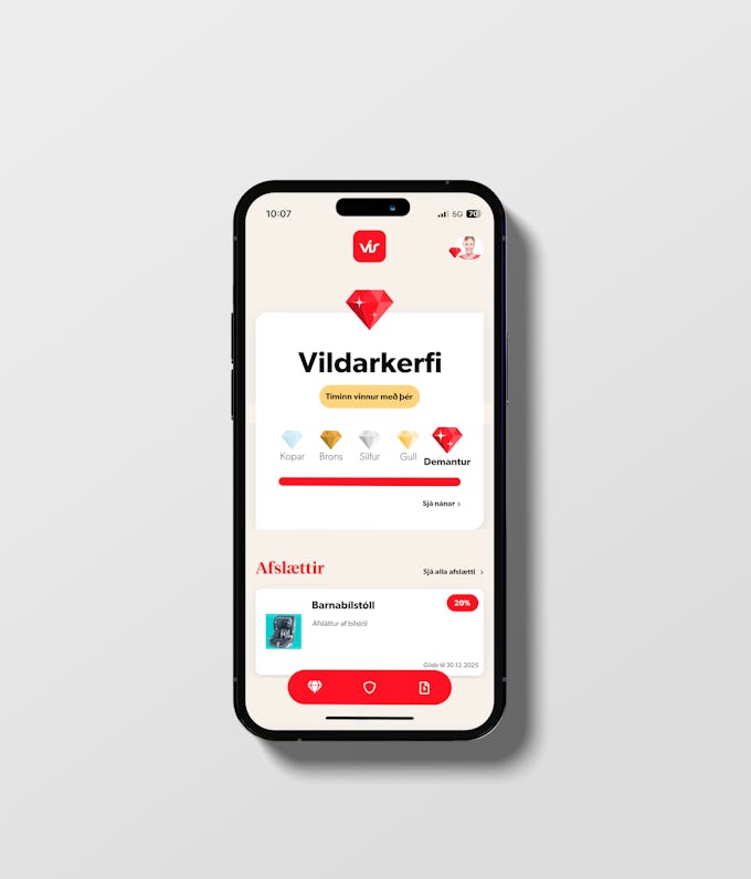 The VÍS loyalty program