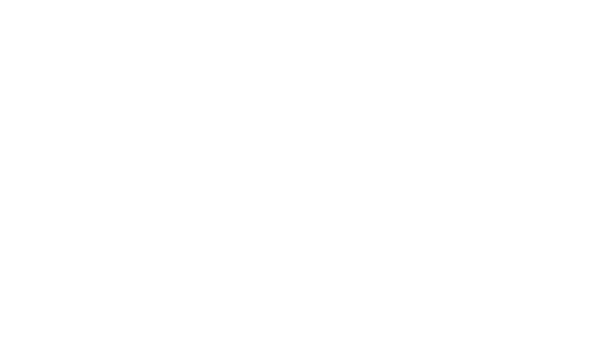 Mister Lady