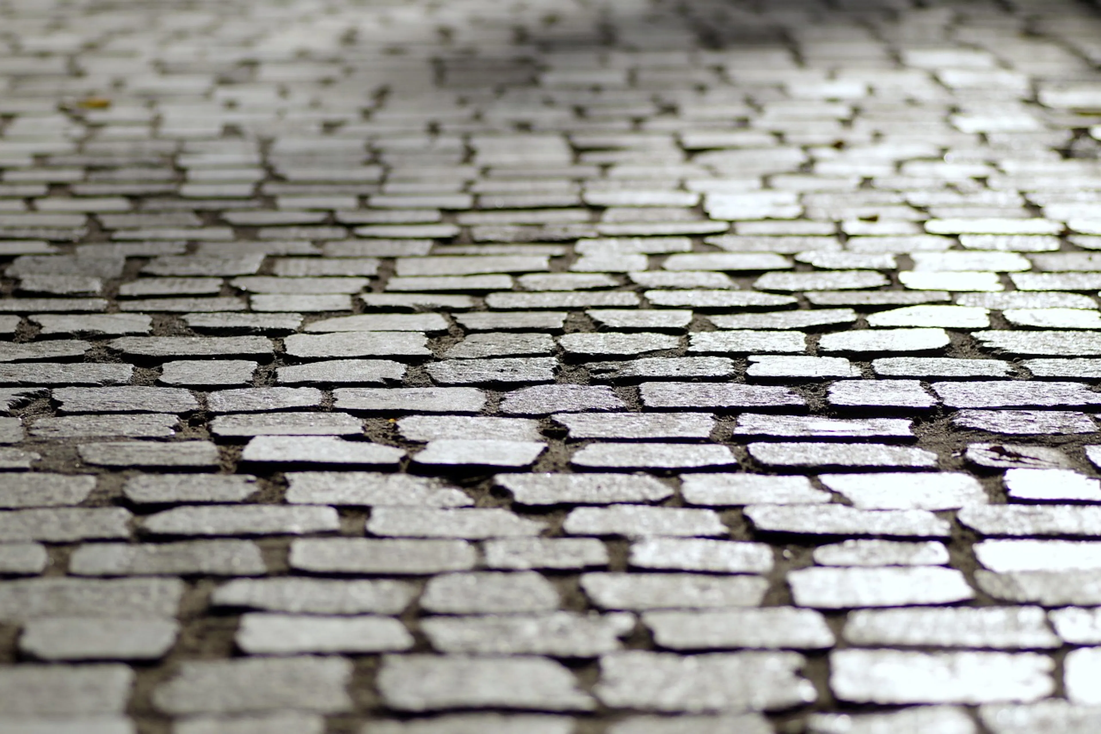 paver