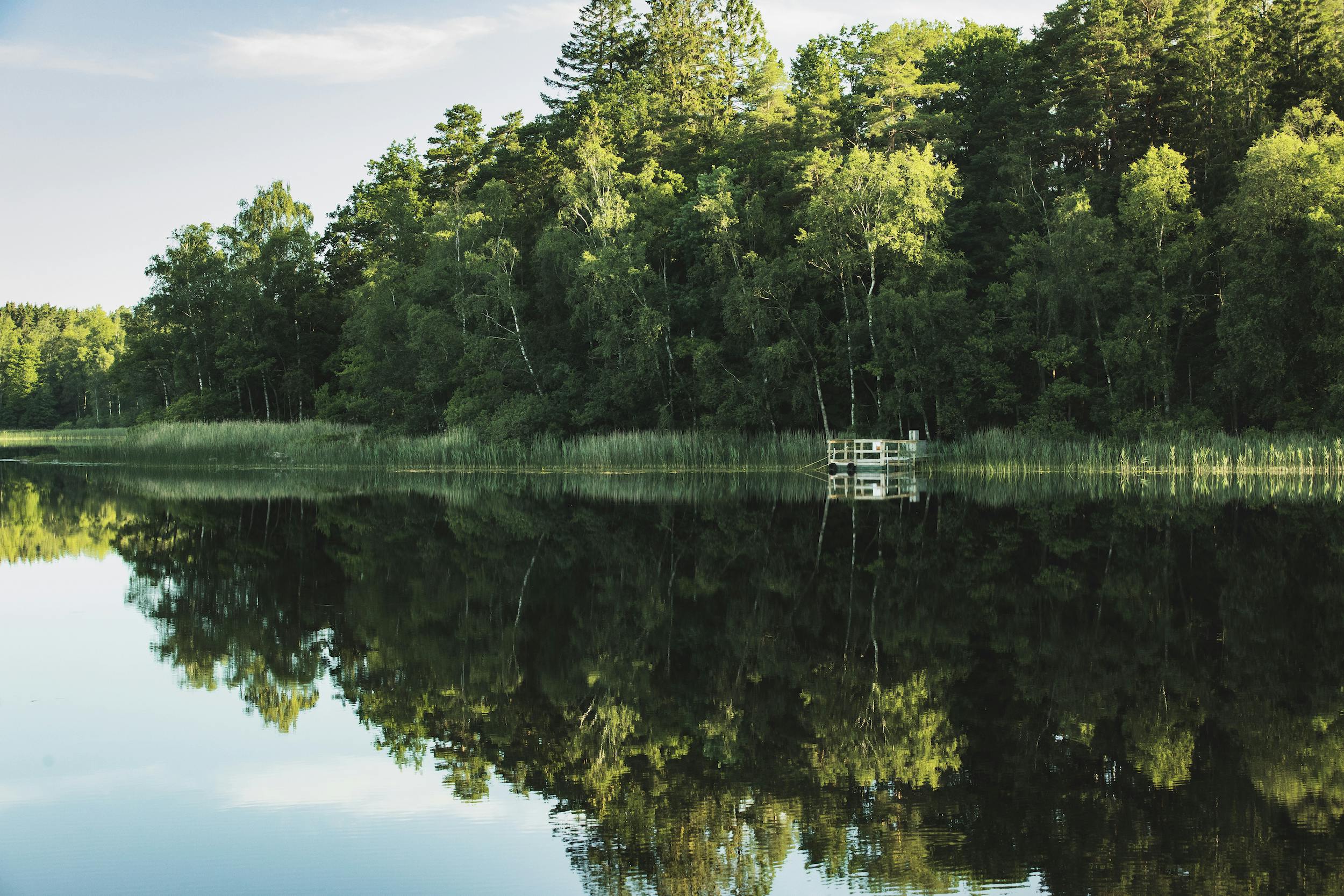Åkulla bokskogar är ett av Hallands populäraste naturområden. Foto: Alexander Hall