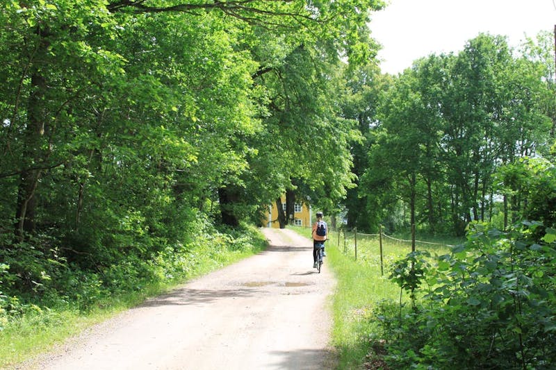 En person cyklar längs med grusvägen som är omgiven av grönska.