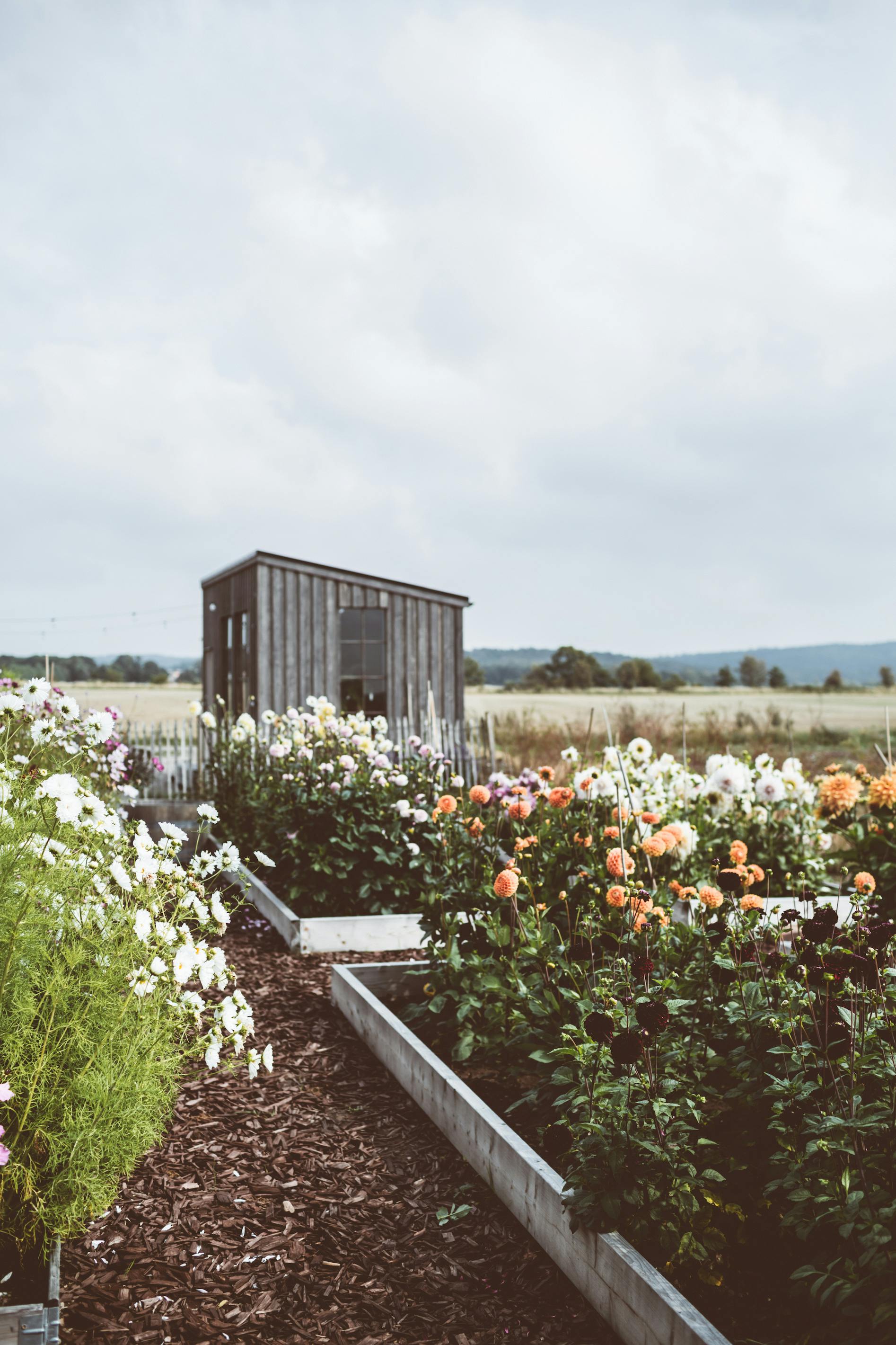 Harplinge Blomsterodling