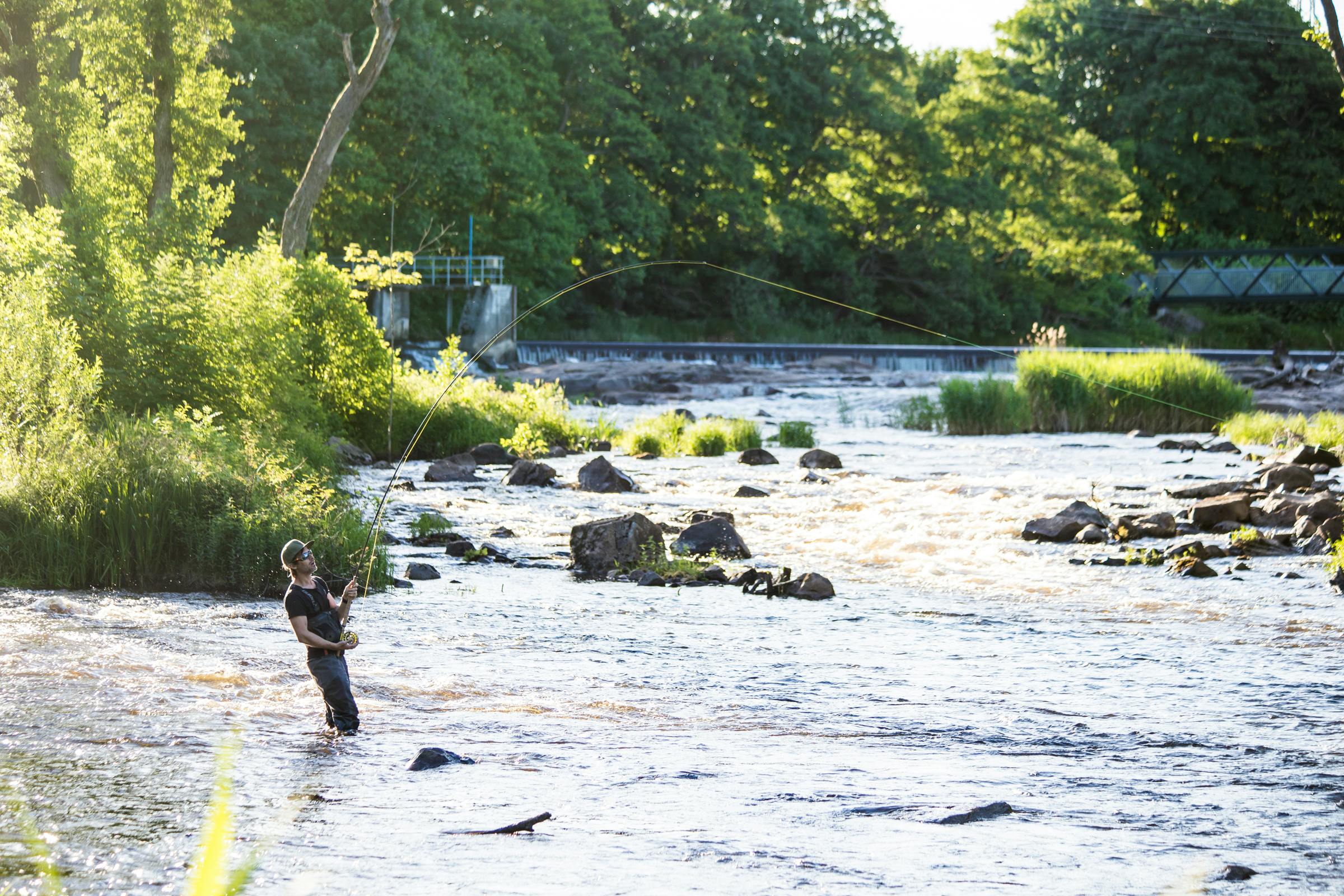 Laxfiske i Falkenberg i Halland