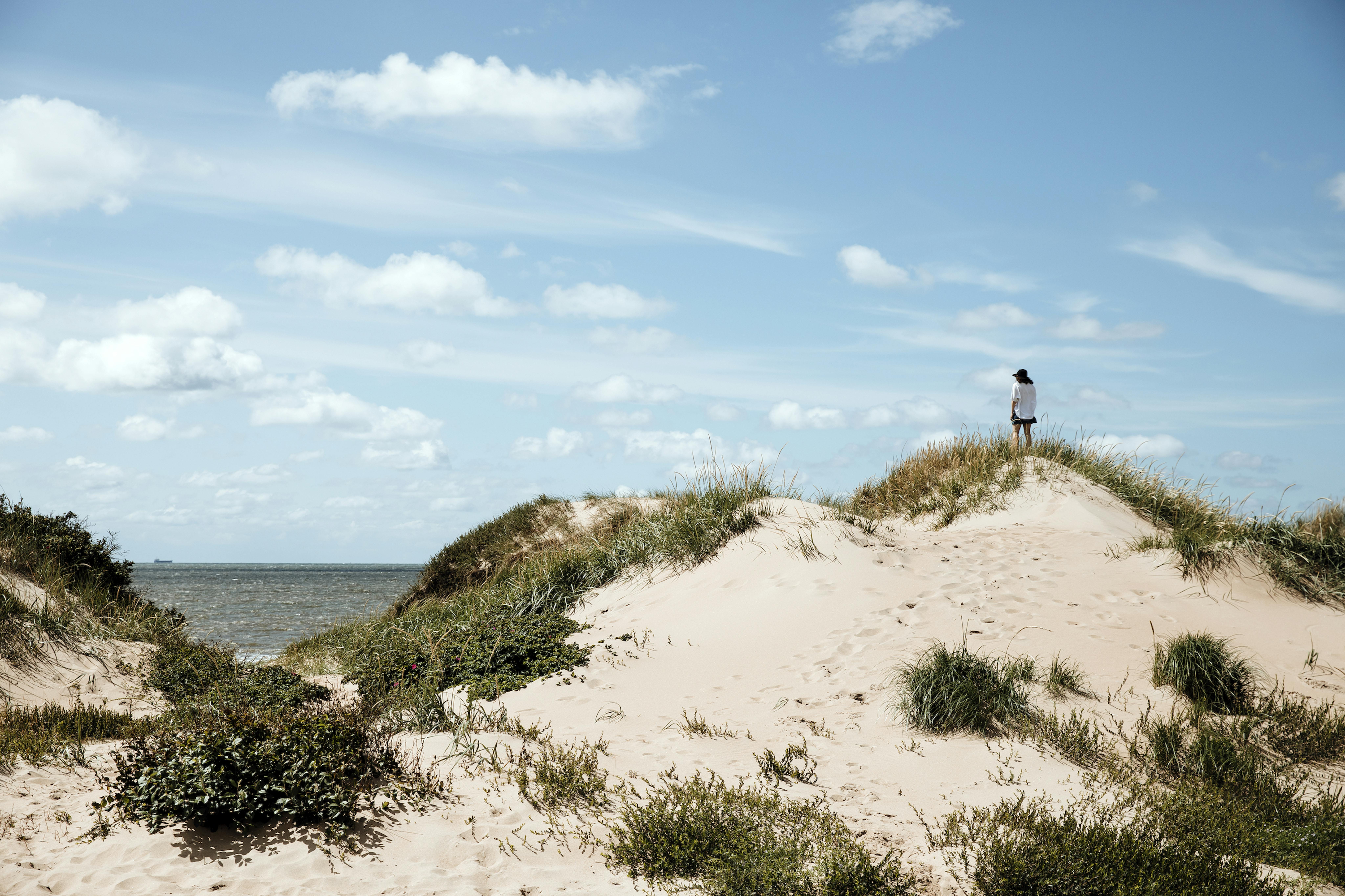 Eine Person steht auf einer Sanddüne und blickt auf das Meer in Halland.