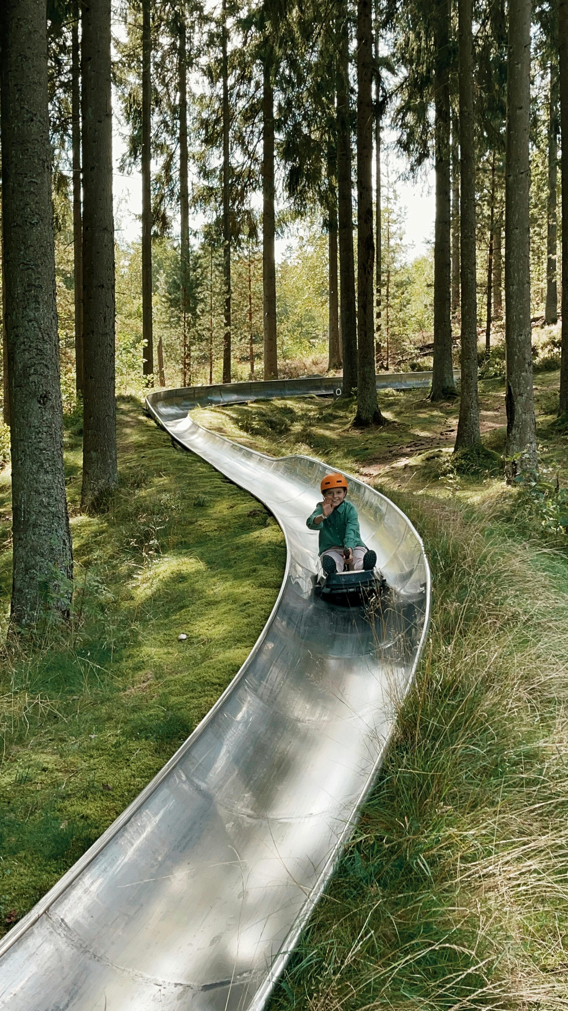 På Kungsbyggets äventyrspark i Laholm kan du åka rodel.