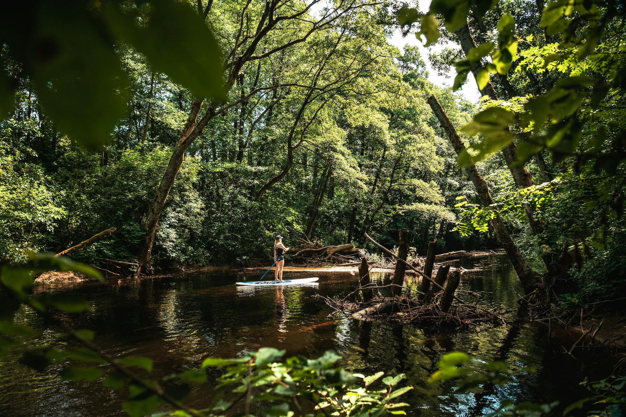 Stand up Paddleboarding in the lush nature of river Fylleån, Halland. 