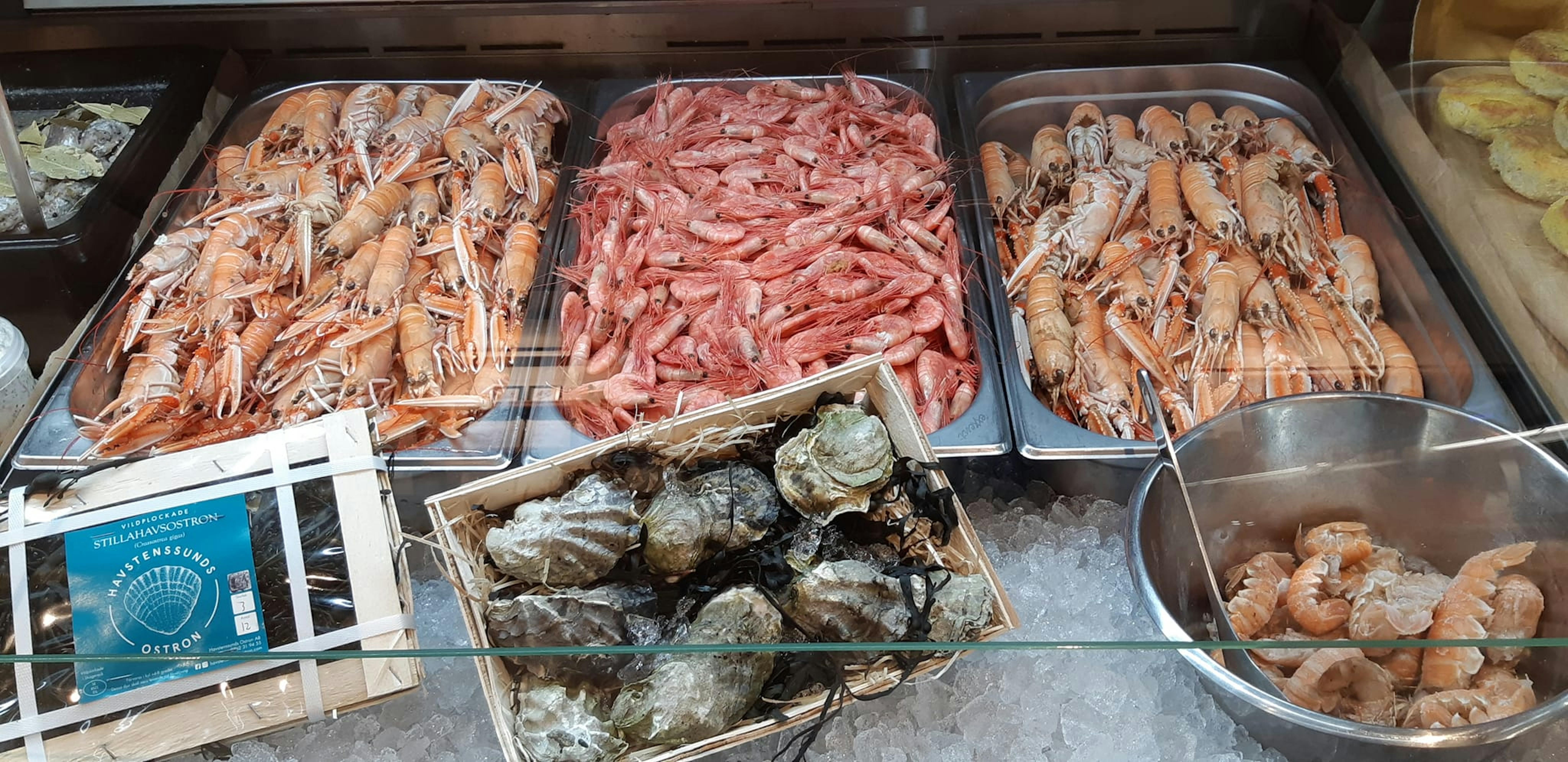 Auslage beim Fischhändler mit frischen Krabben und Muscheln