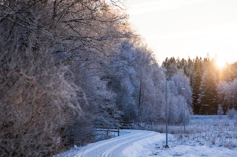 Skidspår för längdåkning i gnistrande skog i Åkulla, Halland. 